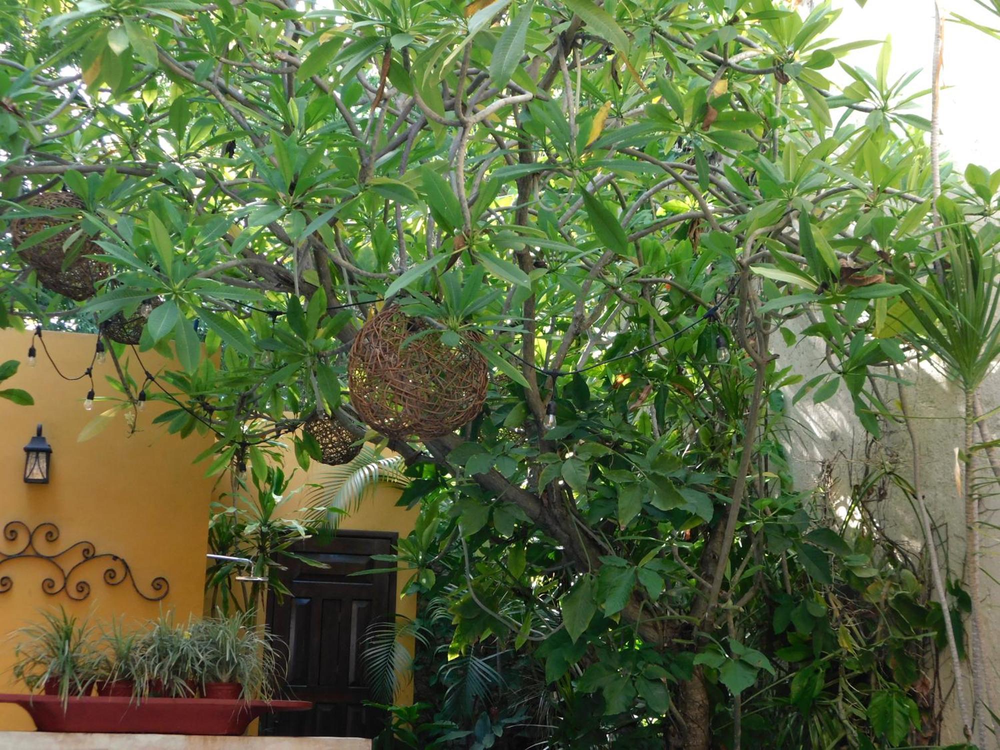 Hotel Boutique Casa Flor De Mayo Merida Luaran gambar